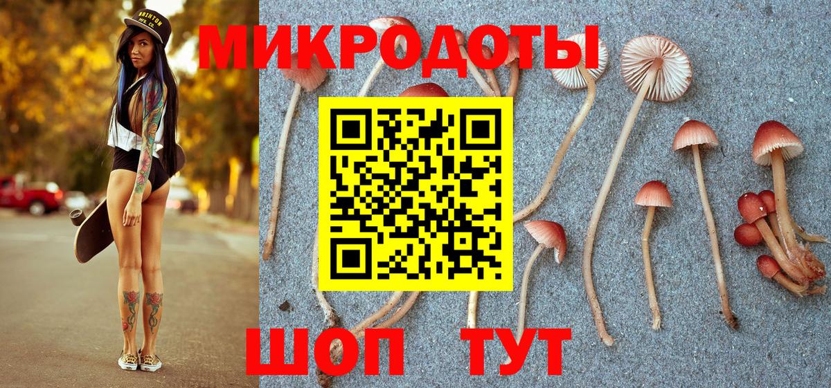 Галлюциногенные грибы ЛСД  Псилоцибиновые грибы Magic Shrooms  Дальнегорск  Вход с VPN 