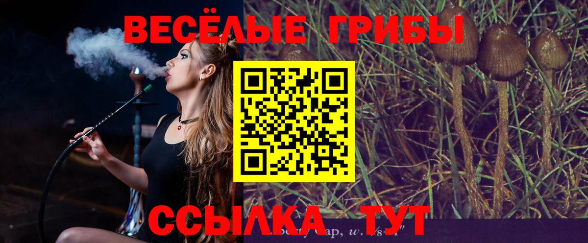 Псилоцибиновые грибы Psilocybine cubensis  Дальнегорск  Псилоцибиновые грибы прущие грибы 