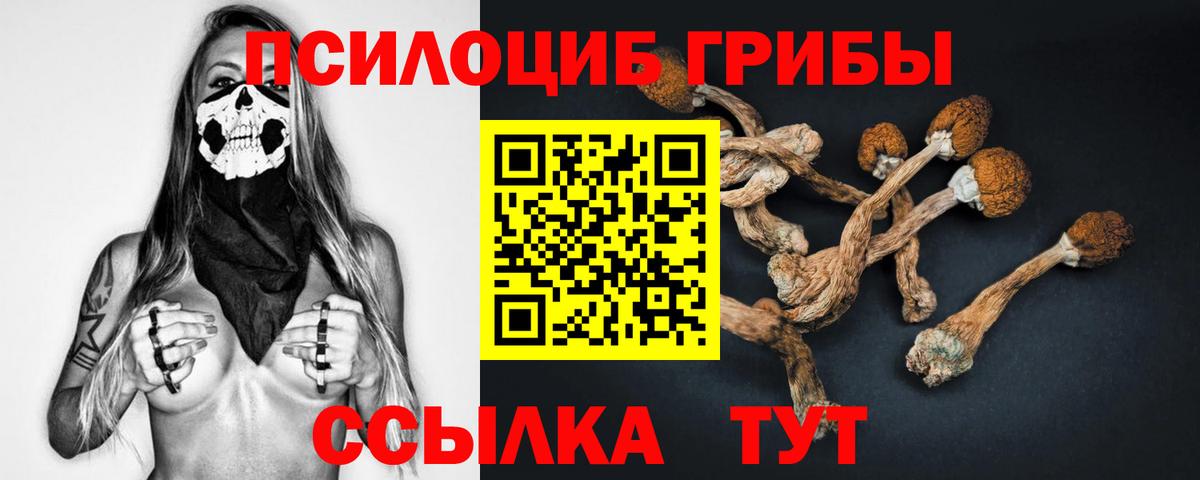 Галлюциногенные грибы Magic Shrooms Дальнегорск